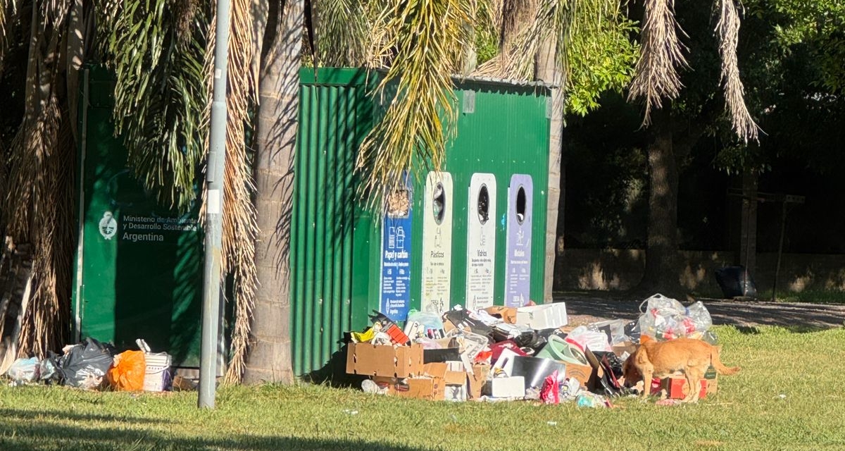 Vecinos de barrio Los Pinos exigen el retiro de un contenedor que se transformó en un foco de contaminación